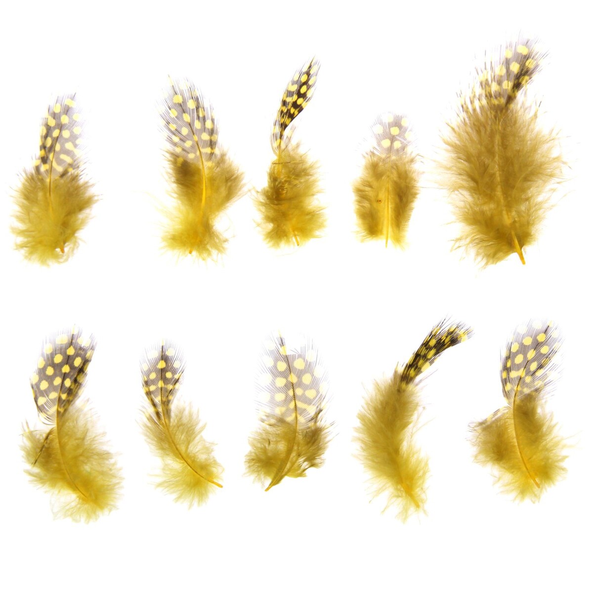 Набор перьев для декора 10 шт., размер 1 шт: 5 × 2 см, цвет желтый с коричневым