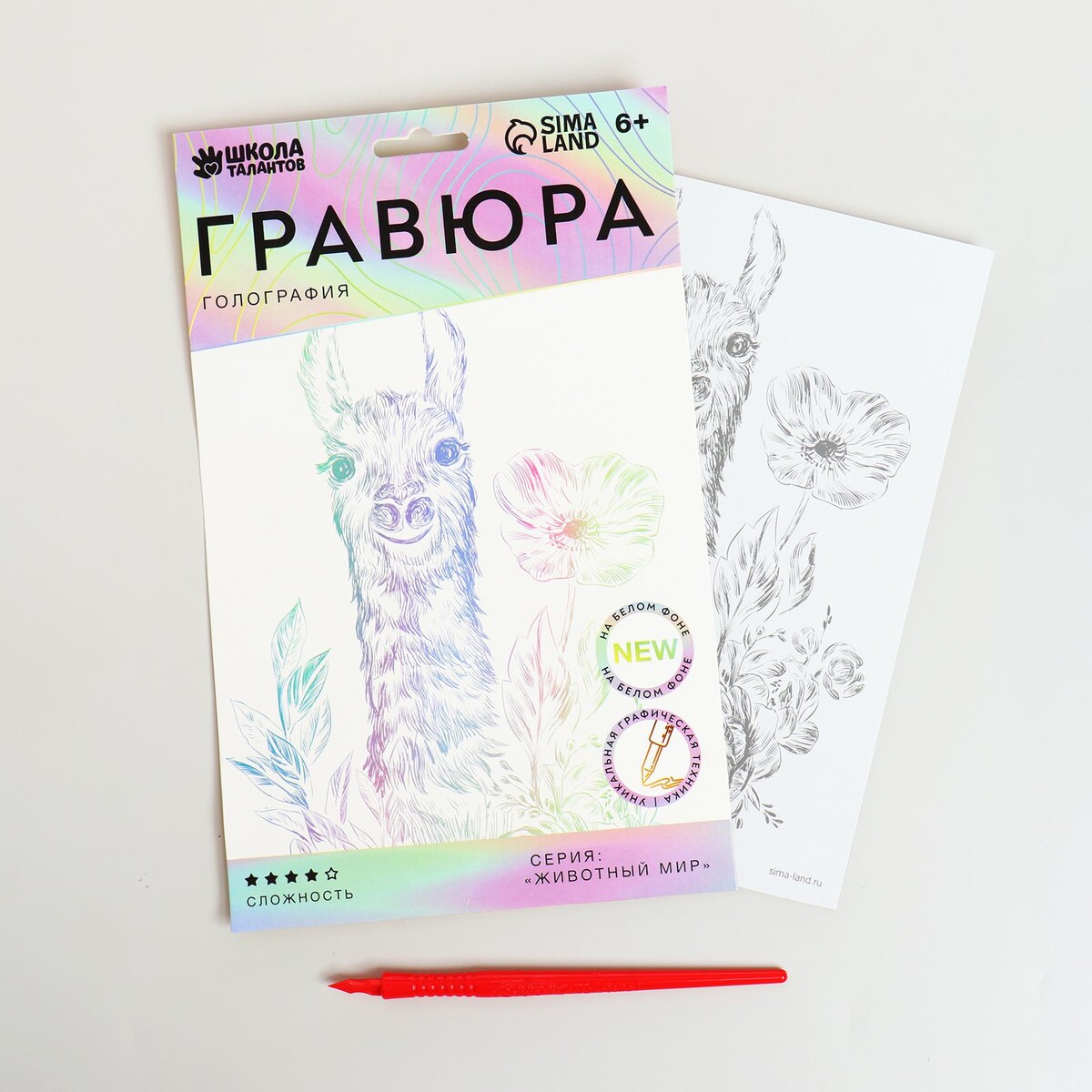 

Гравюра