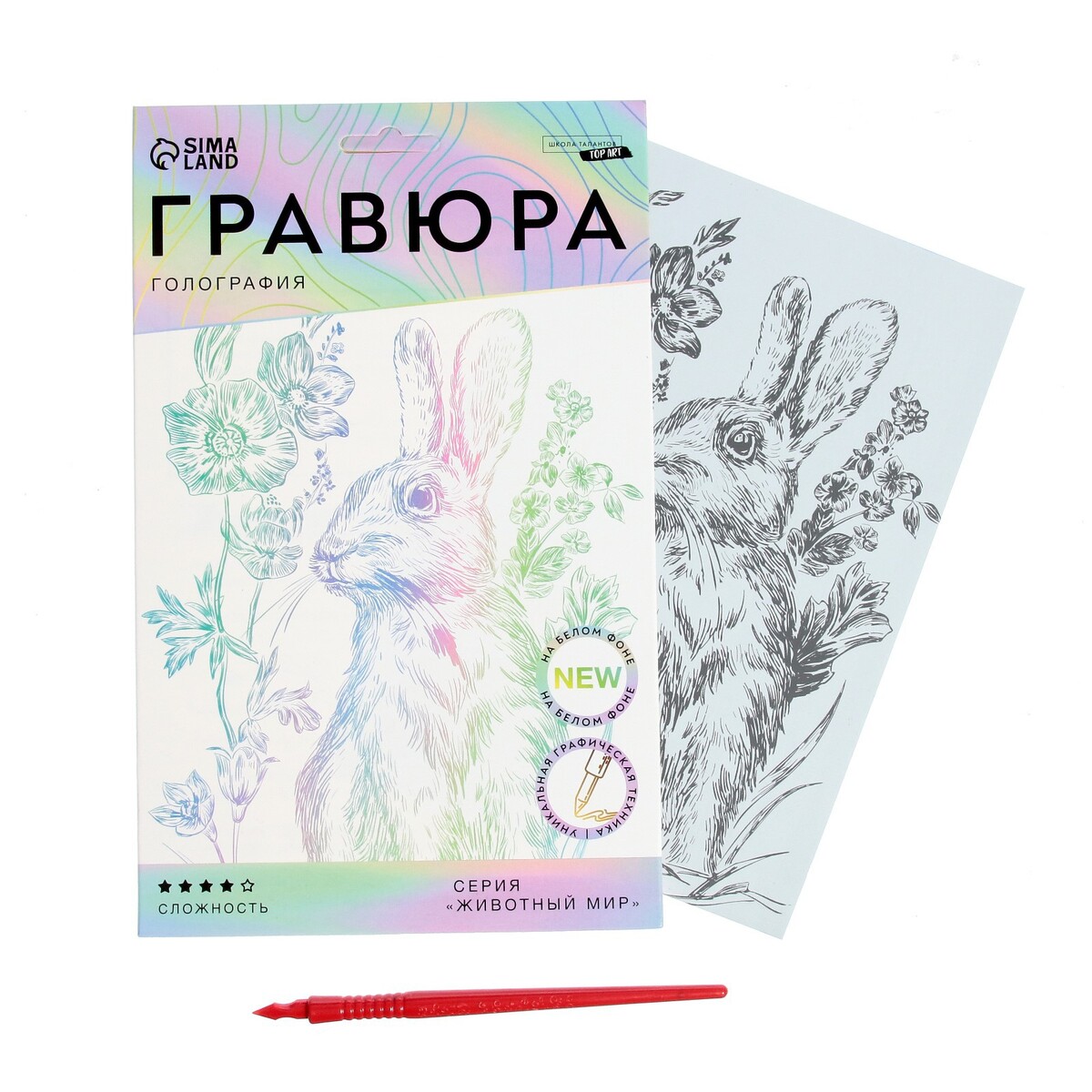 

Гравюра