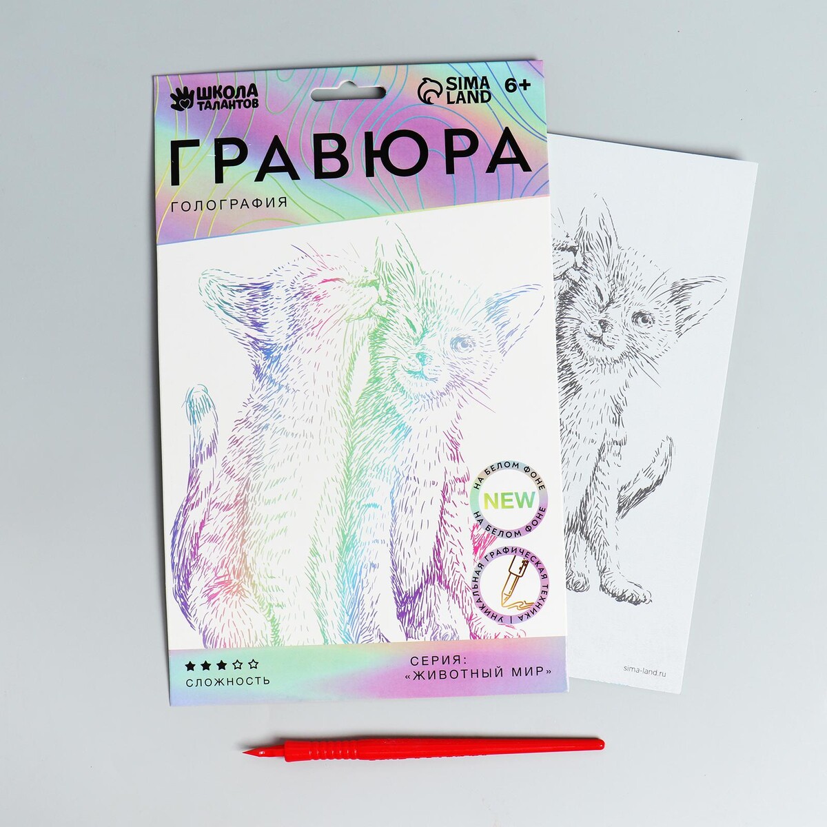 

Гравюра