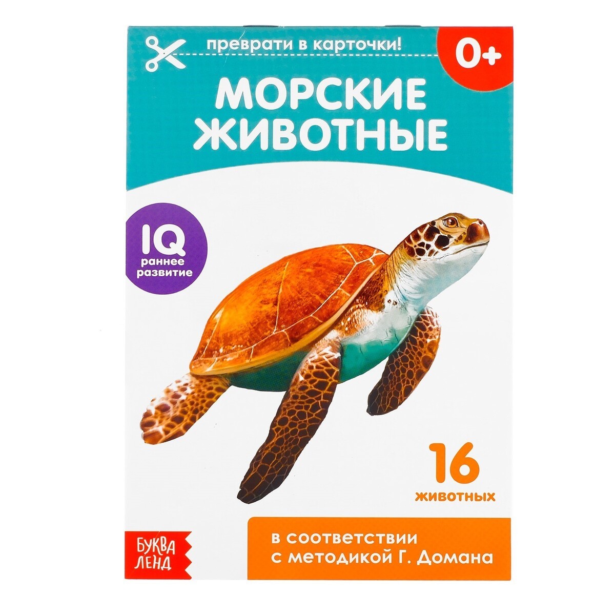 

Обучающие карточки г. домана