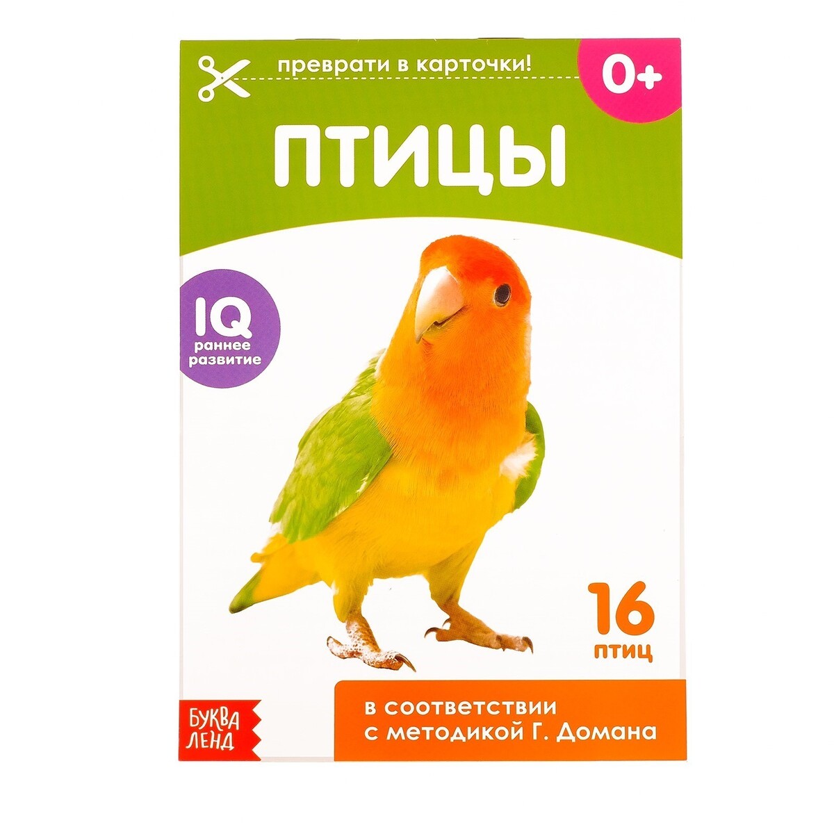 

Обучающие карточки г. домана