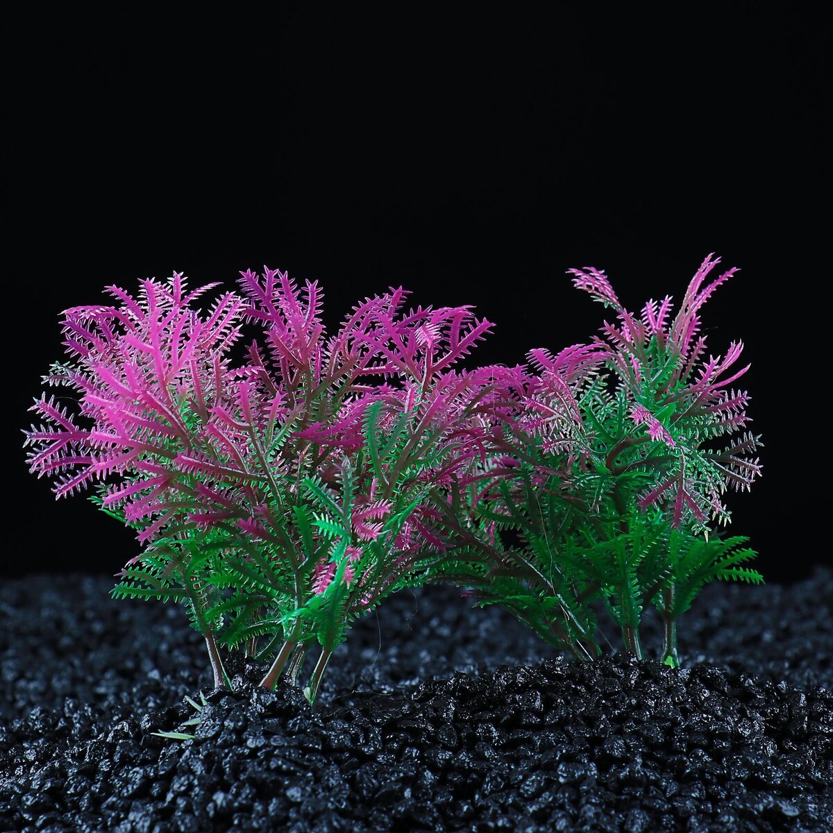 Набор растений искусственных для аквариума (2 шт), 10 см Пижон Аква, цвет зеленый