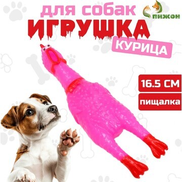 Игрушка пищащая Пижон