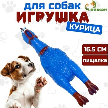 Игрушка пищащая Пижон