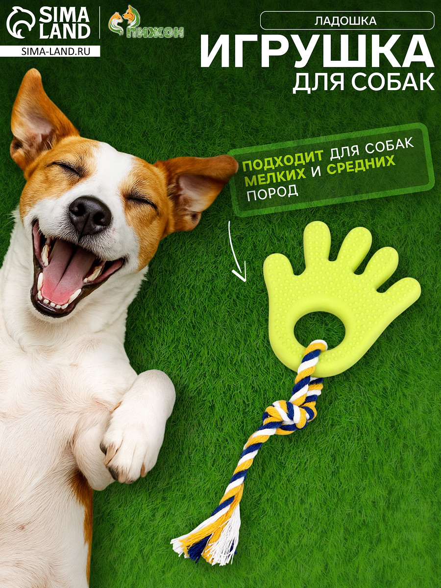 

Игрушка жевательная с канатом для собак, Зеленый