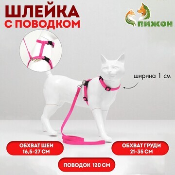 Комплект для кошек, ширина 1 см, ош 16,5