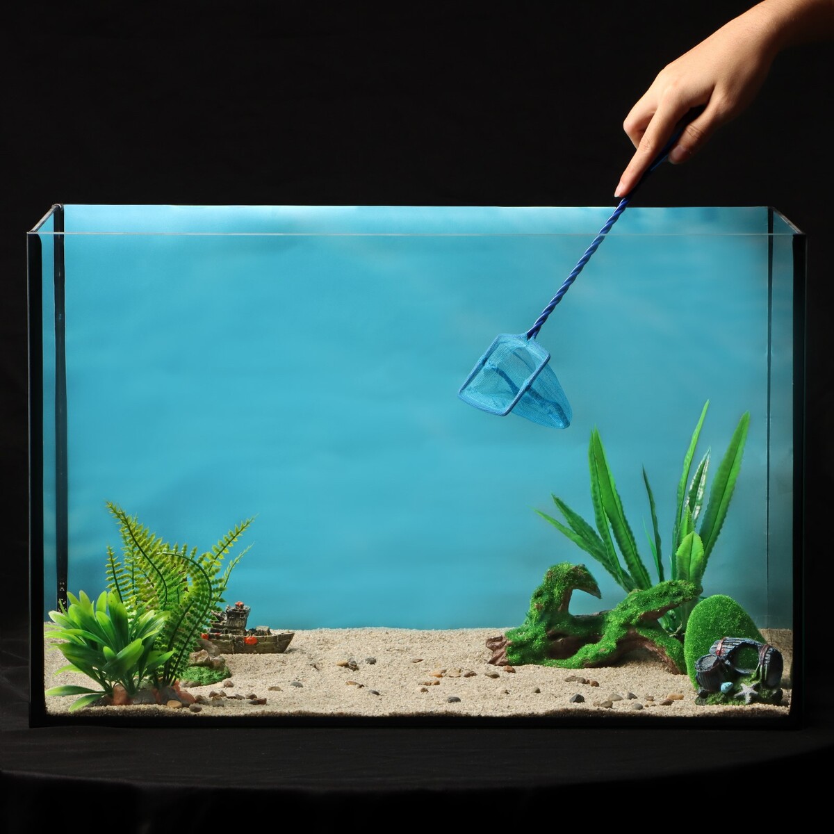 Сачок аквариумный 7,5 см, синий No brand