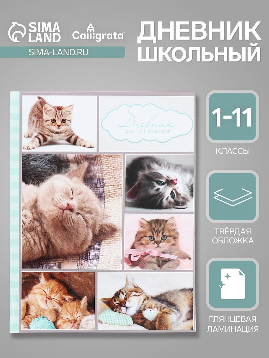 

Дневник универсальный для 1-11 классов,, Разноцветный