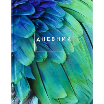 Дневник для 5-11 классов,