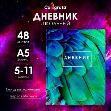 Дневник для 5-11 классов,