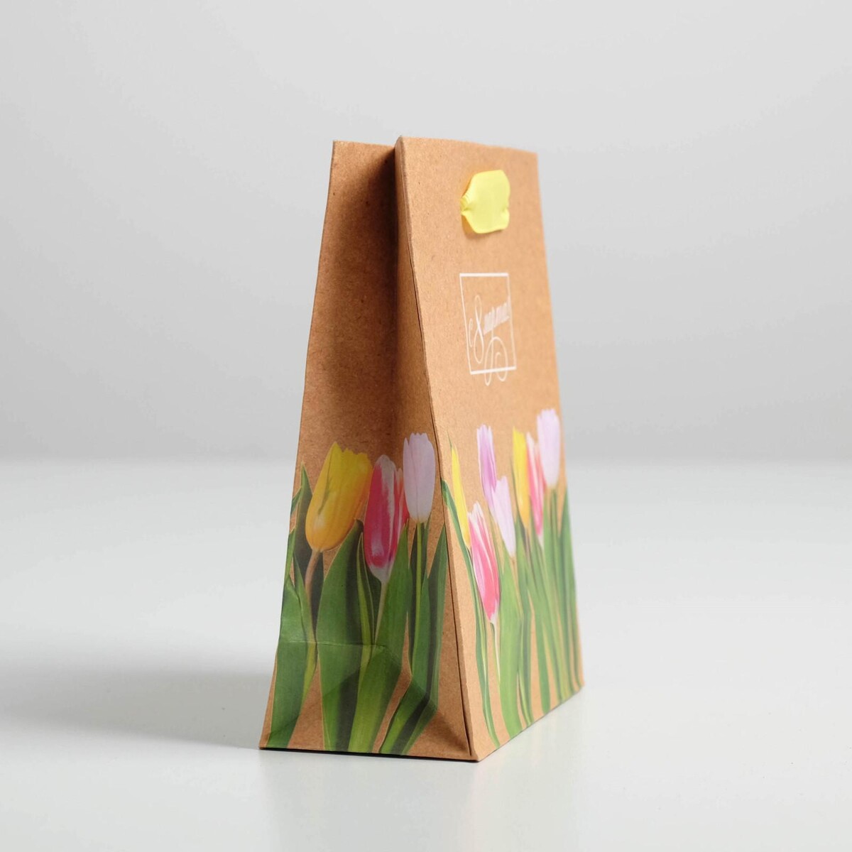 

Пакет подарочный вертикальный крафтовый, упаковка,, Бежевый;зеленый