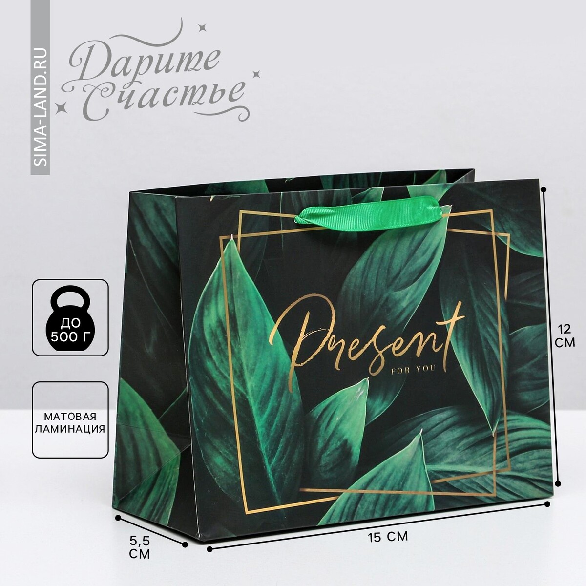 Пакет подарочный ламинированный горизонтальный, упаковка, present for you, s 15 х 12 х 5,5 см лоток горизонтальный зеленый