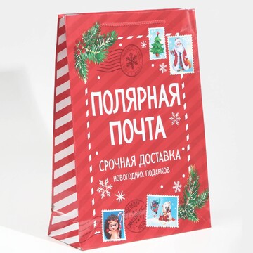 Пакет подарочный новогодний ламинированн