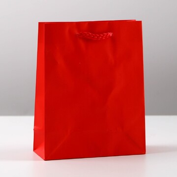 Пакет подарочный ламинированный, упаковк