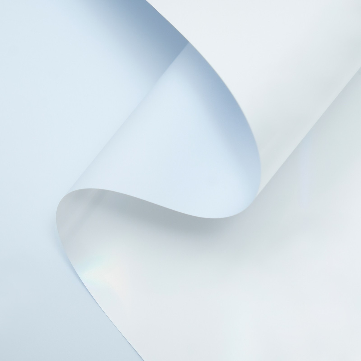 

Пленка для цветов и букетов, Белый;голубой