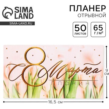 Планер с отрывными листами, 50 л. 17х9см