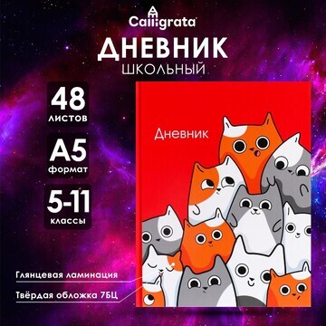 Дневник для 5-11 классов,