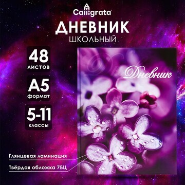 Дневник для 5-11 классов,