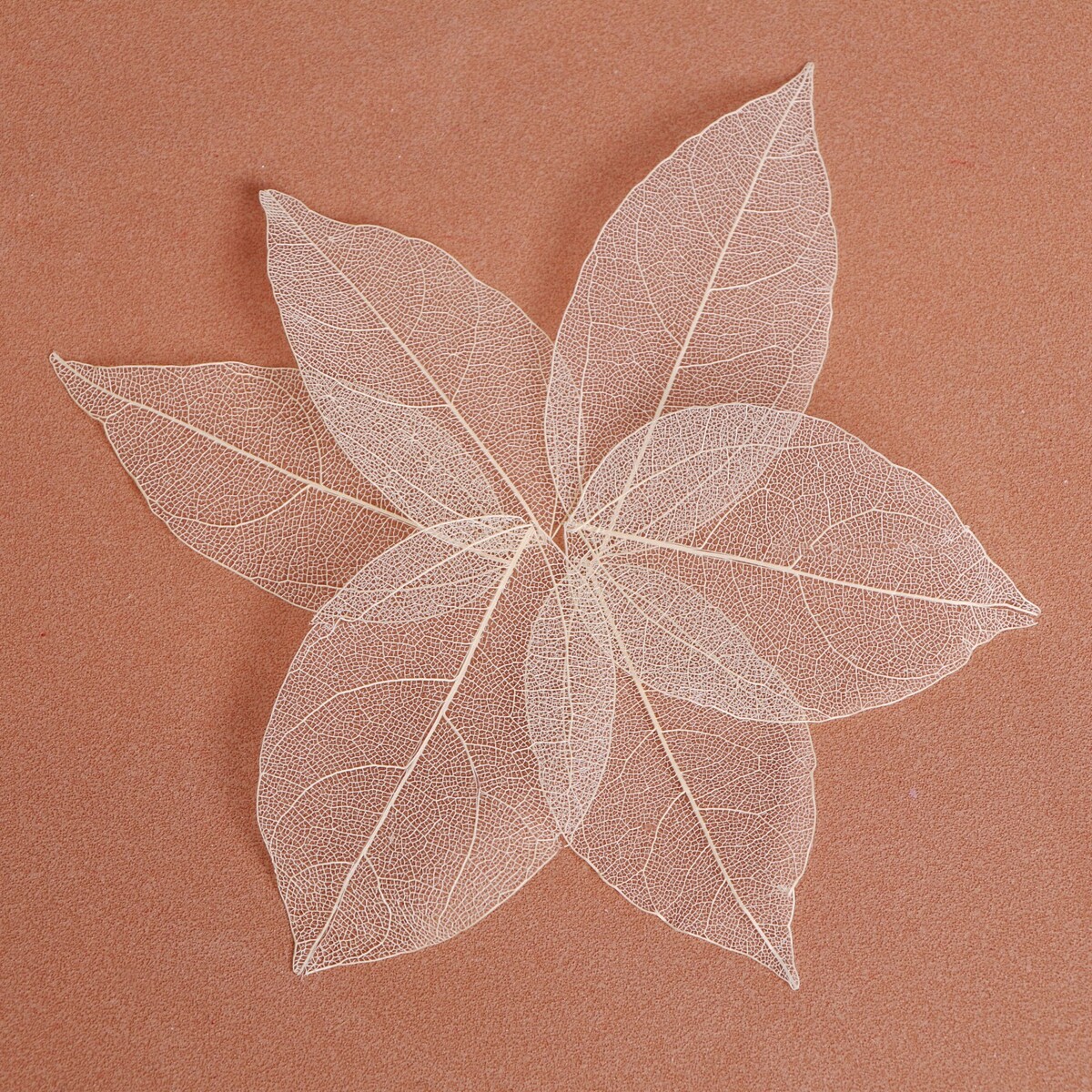 Сухие листья, (набор 5 шт), размер 1 шт:: 8×5 см, цвет белый декоративные листья с глиттером азалия белый