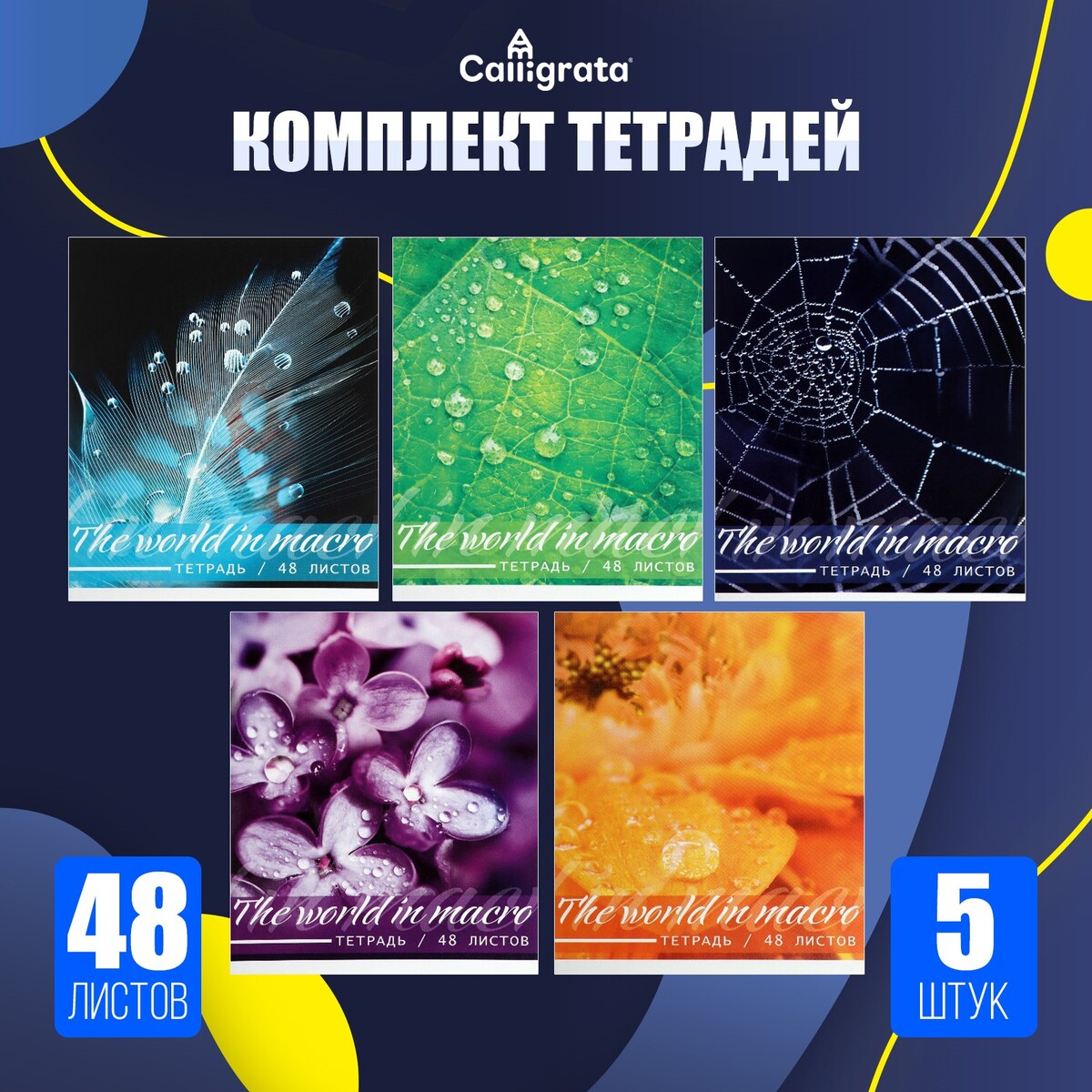 

Комплект тетрадей из 5 штук, 48 листов в клетку calligrata