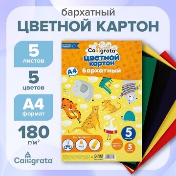 Картон бархатный а4, 5 листов, 5 цветов,