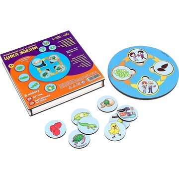Развивающая игра из дерева