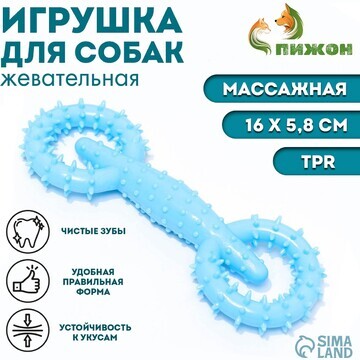 Игрушка для собак Пижон