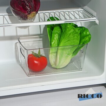 Контейнер для холодильника ricco, 23,5×1