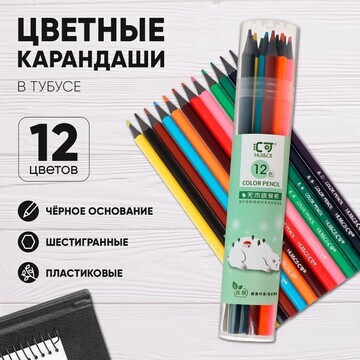 Карандаши 12 цветов в тубусе, шестигранн