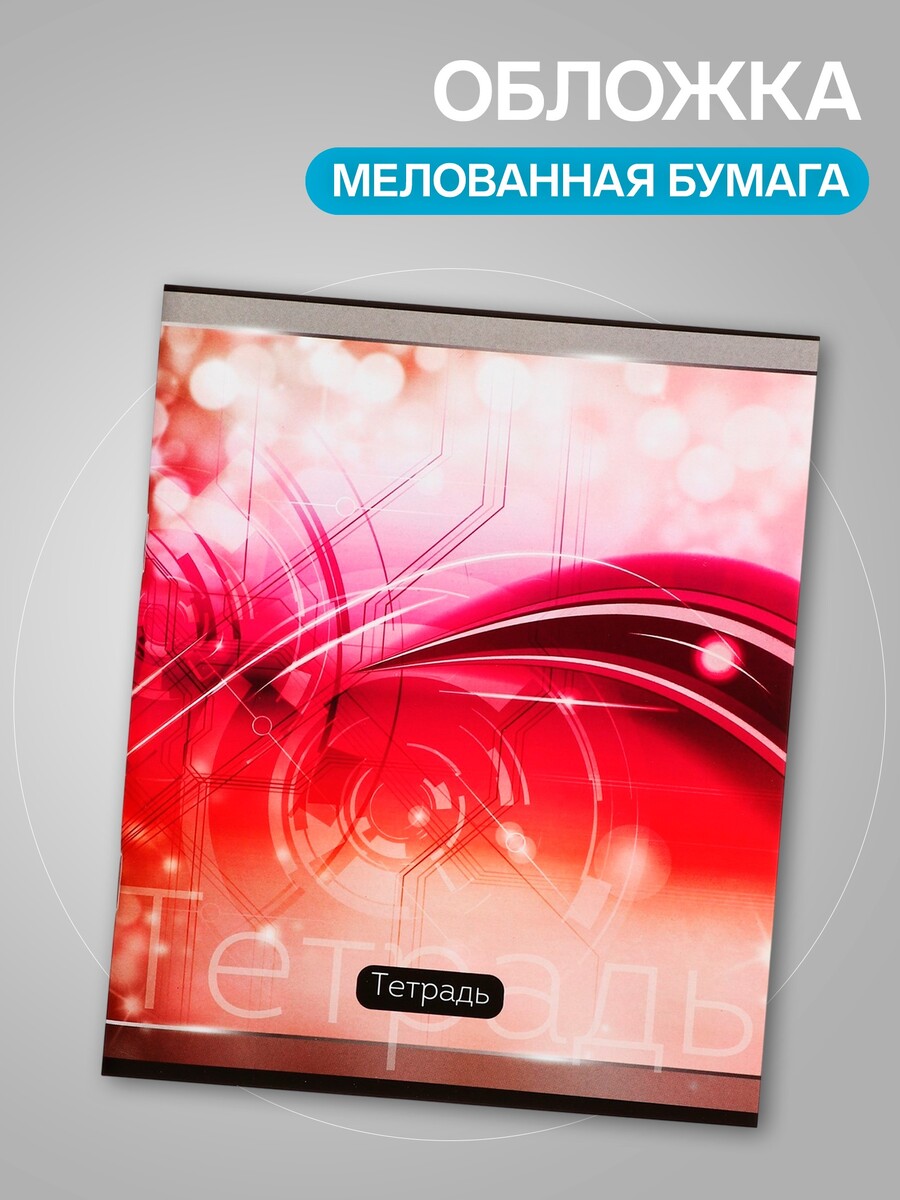 

Набор тетрадей, 48 листов в клетку, calligrata, Разноцветный;микс
