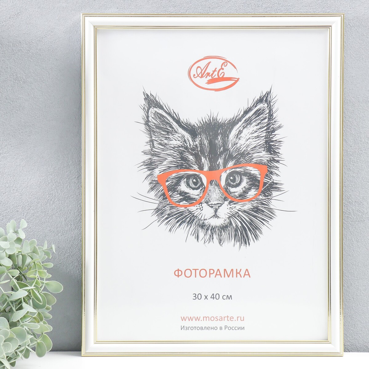 

Фоторамка пластик 30х40 см, (пластиковый экран) 20152-90101-30-40, Белый;золотой;золотистый