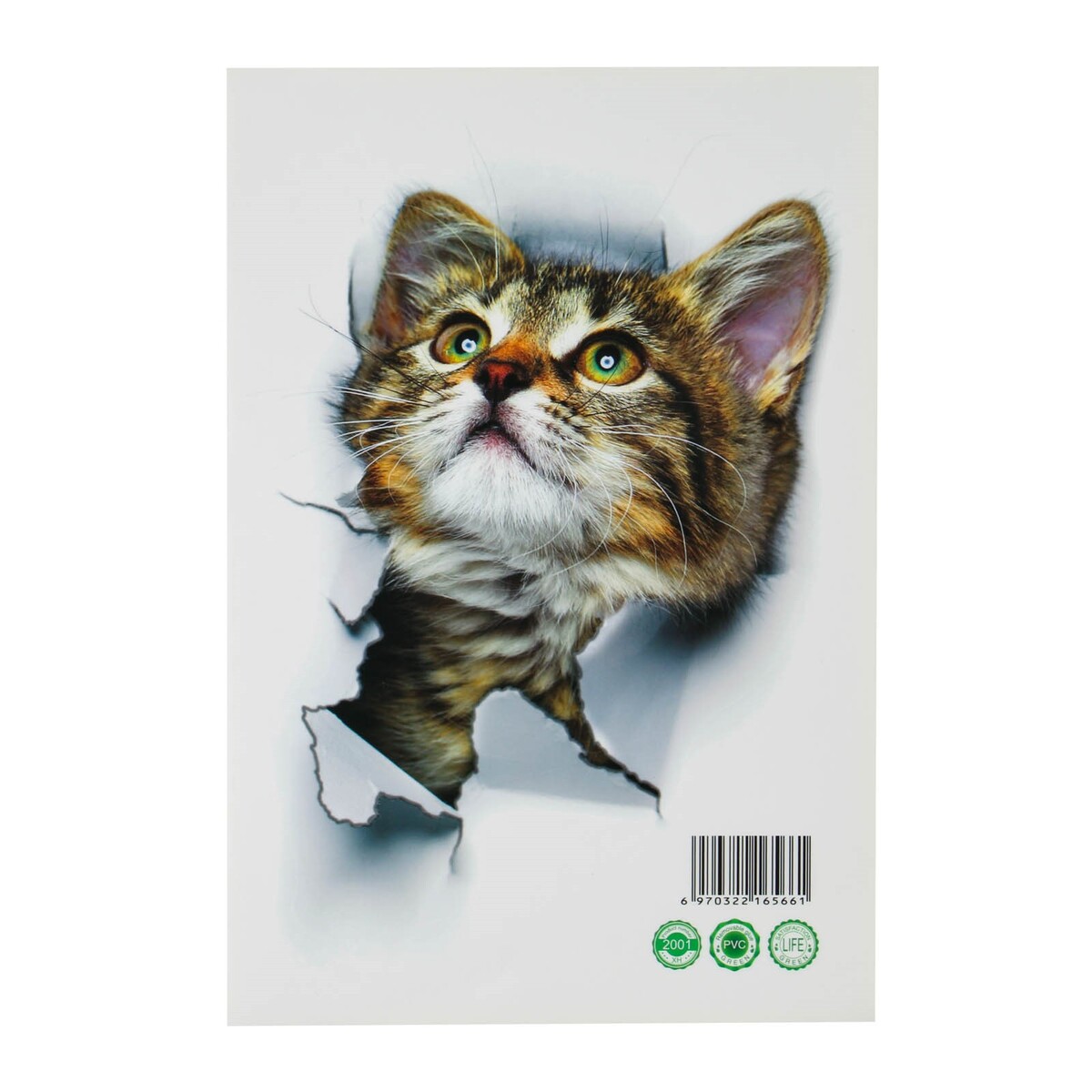 Наклейка 3д интерьерная кошка 25*17см No brand, цвет разноцветный 01767612 - фото 2