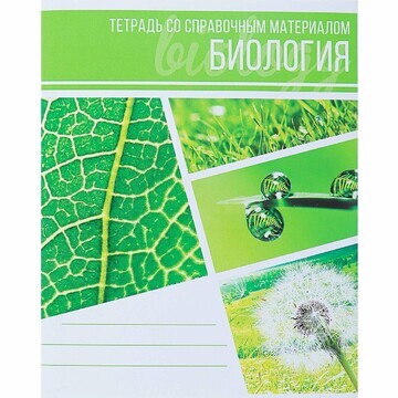 Тетрадь предметная calligrata