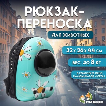 Рюкзак для переноски кошек и собак