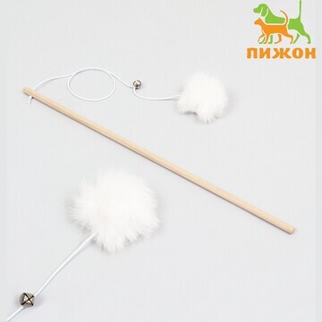 Дразнилка Пижон