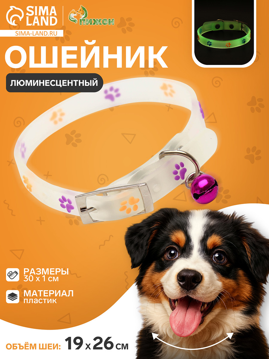 

Ошейник, Прозрачный