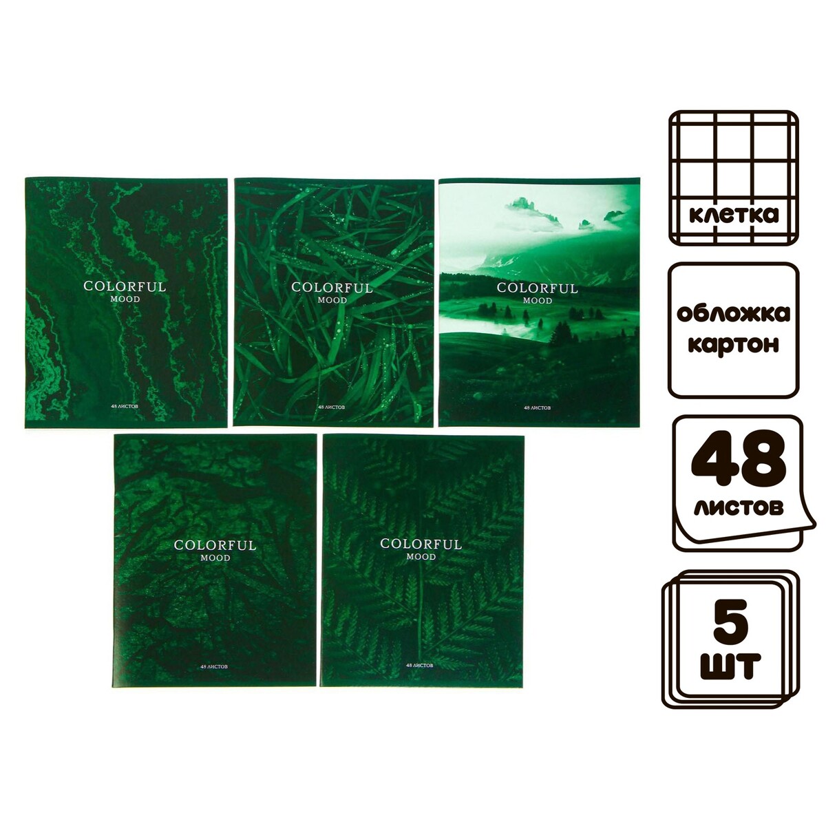 Комплект тетрадей из 5 штук, 48 листов в клетку calligrata сменный блок для тетрадей 50 листов клетка зеленый academy style