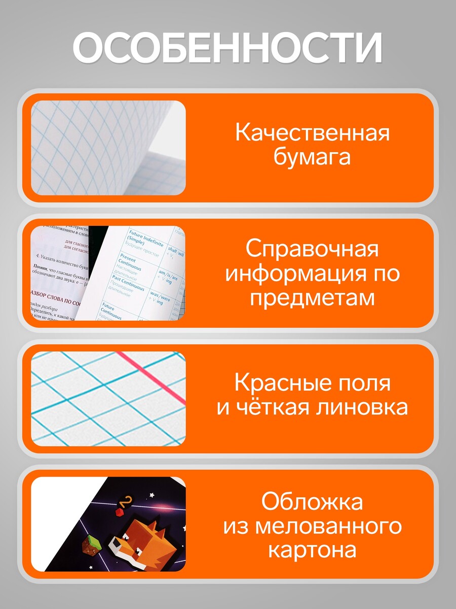 

Тетрадь предметная, 36 листов в клетку, calligrata, Разноцветный