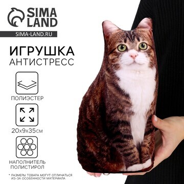 Игрушка антистресс, кот