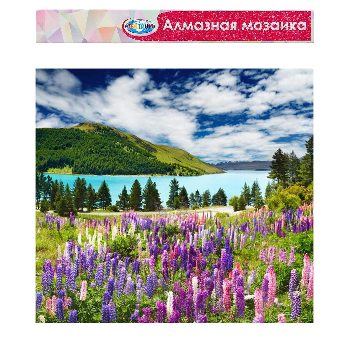 

Алмазная мозаика без подрамника, частичное заполнение, Разноцветный