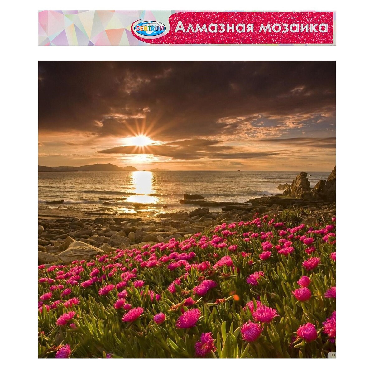 

Алмазная мозаика без подрамника, частичное заполнение, Разноцветный