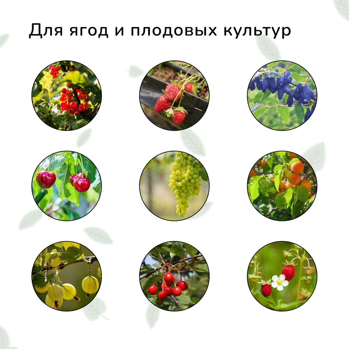 

Сетка садовая, мягкая, 10 × 2 м, ячейка 8 × 8 мм, от птиц , greengo, Зеленый