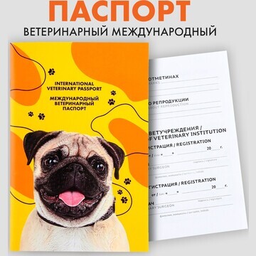 Ветеринарный паспорт международный