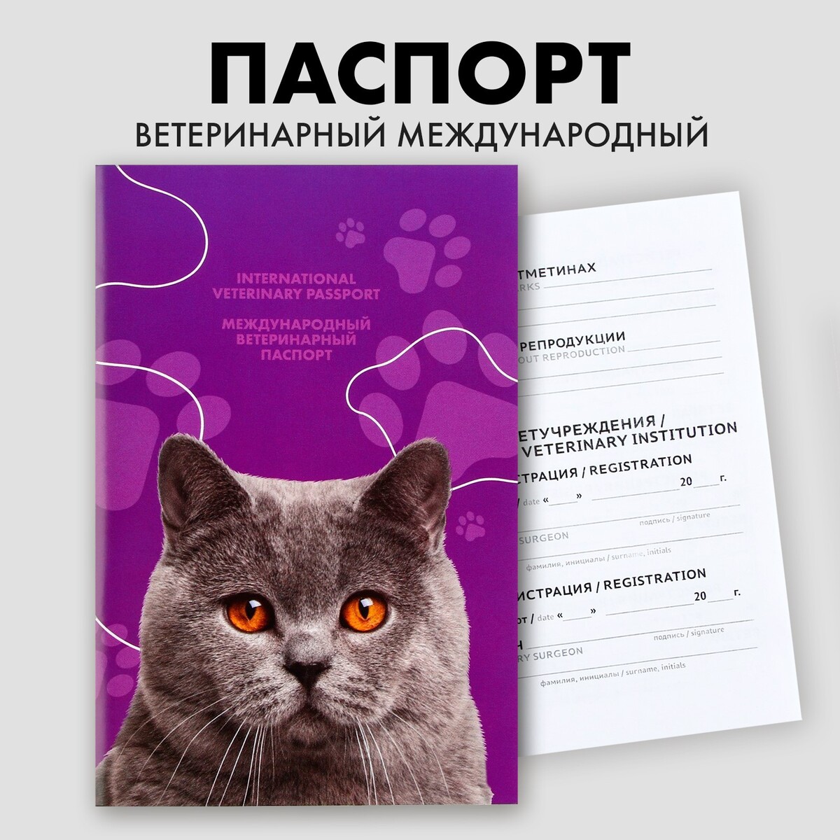 Ветеринарный паспорт международный универсальный для кошек международный шахматный турнир в кечкемете 1927