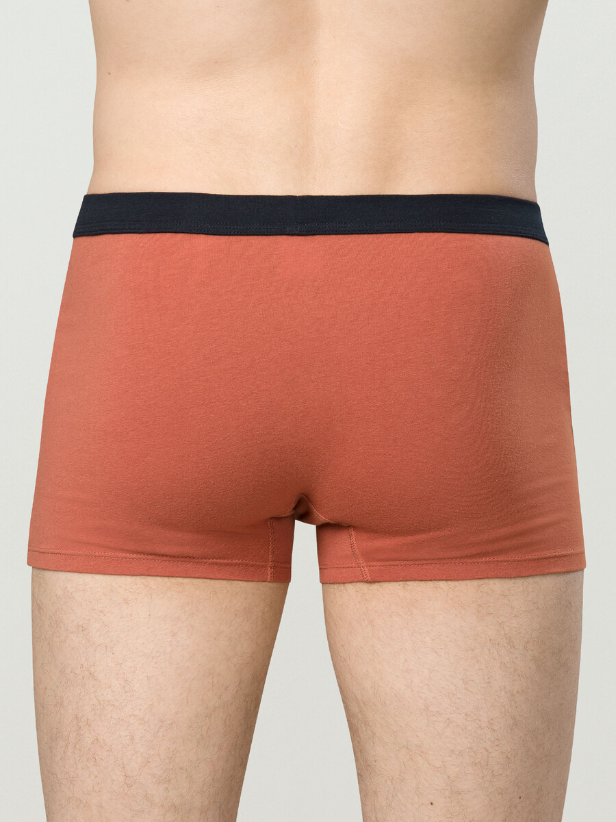 фото Трусы pelican