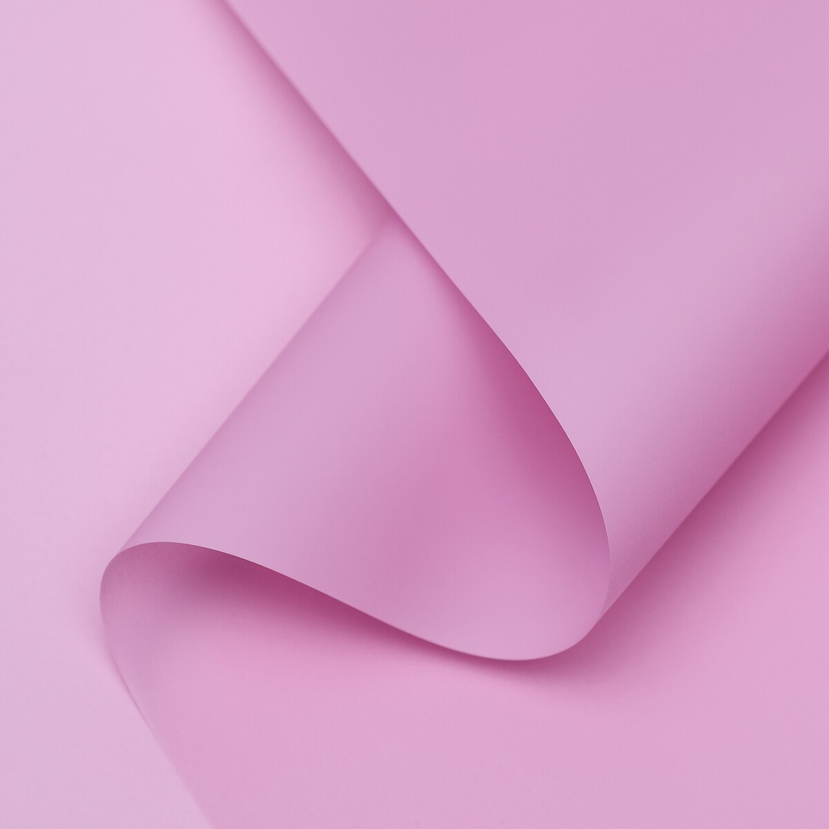 Пленка для цветов, матовая, серо-розовая, 0,57 х 10 м ±1 см ночная сорочка мастридия серо розовая