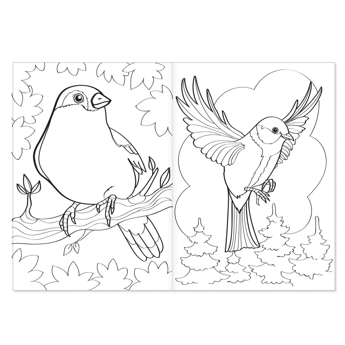 

Раскраска, Разноцветный