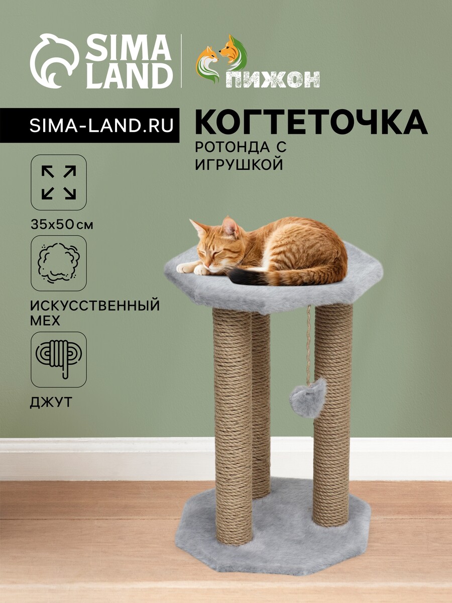 

Когтеточка, Серый