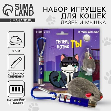 Игрушка для кошек лазер+мышь